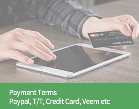 Payment Terms